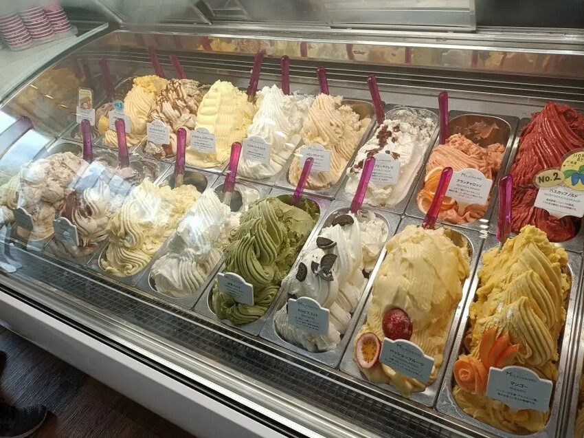 日本2024東京北海道|函館市電、五稜郭塔登高望遠~來五稜郭必吃MILKISSIMO義式冰淇淋!