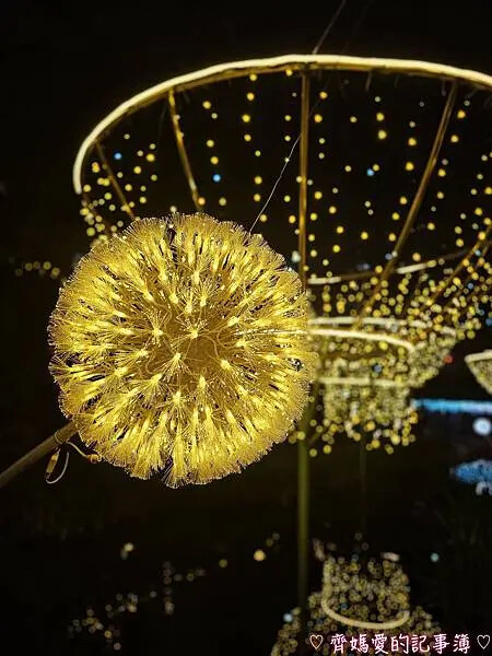 2025中港大排光雕展「光影中港 神幻秘境」 2025中港大排光雕展「光影中港 神幻秘境」