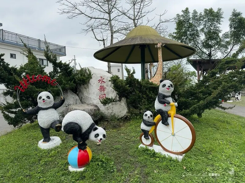 【安農溪驛站】超萌貓熊藝術裝置現身安農溪畔,快來拍照打卡遛小 【安農溪驛站】超萌貓熊藝術裝置現身安農溪畔,快來拍照打卡遛小