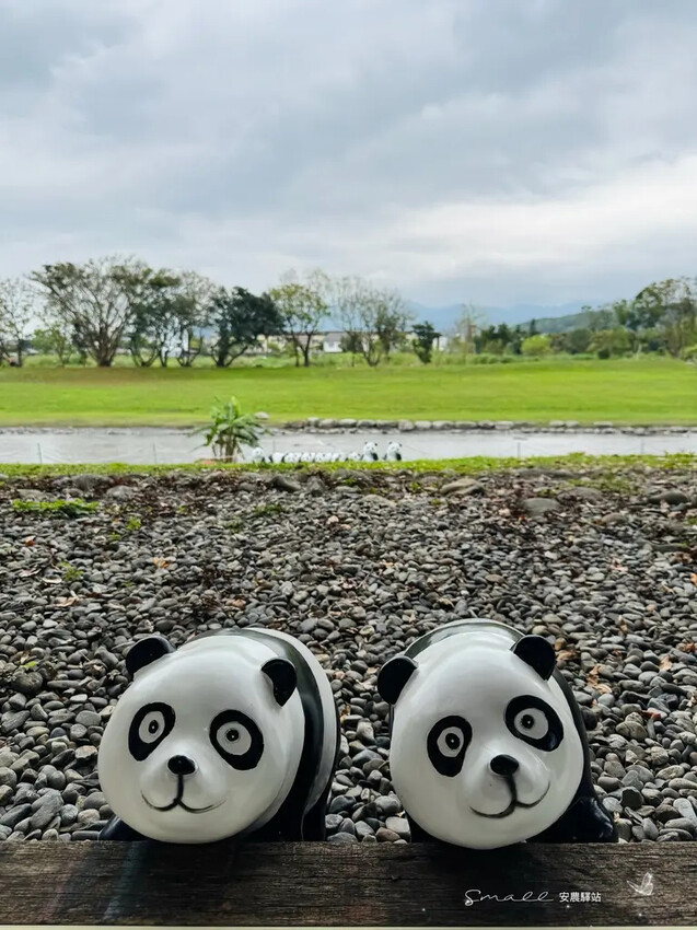 【安農溪驛站】超萌貓熊藝術裝置現身安農溪畔,快來拍照打卡遛小 【安農溪驛站】超萌貓熊藝術裝置現身安農溪畔,快來拍照打卡遛小