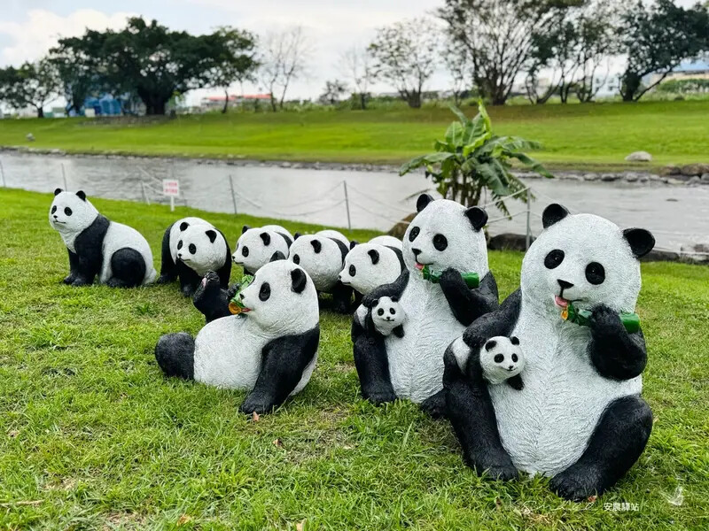 【安農溪驛站】超萌貓熊藝術裝置現身安農溪畔,快來拍照打卡遛小 【安農溪驛站】超萌貓熊藝術裝置現身安農溪畔,快來拍照打卡遛小