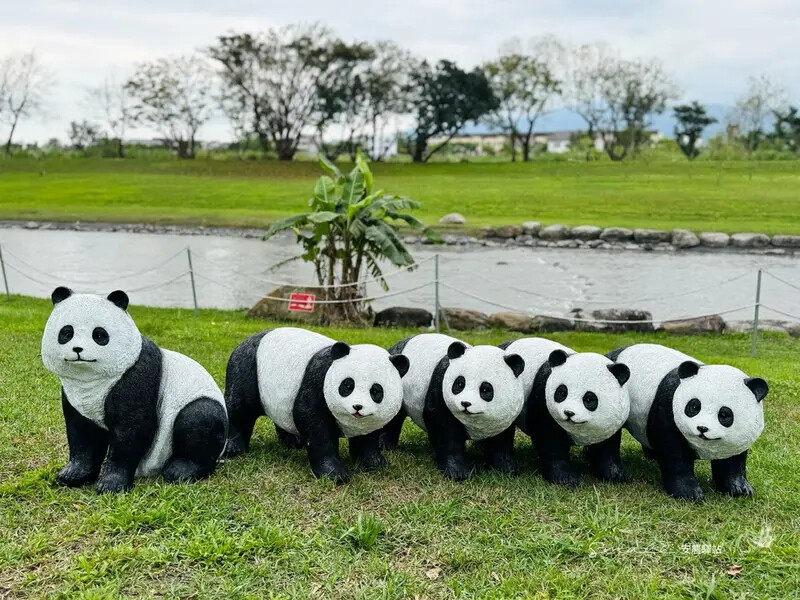 【安農溪驛站】超萌貓熊藝術裝置現身安農溪畔,快來拍照打卡遛小 【安農溪驛站】超萌貓熊藝術裝置現身安農溪畔,快來拍照打卡遛小