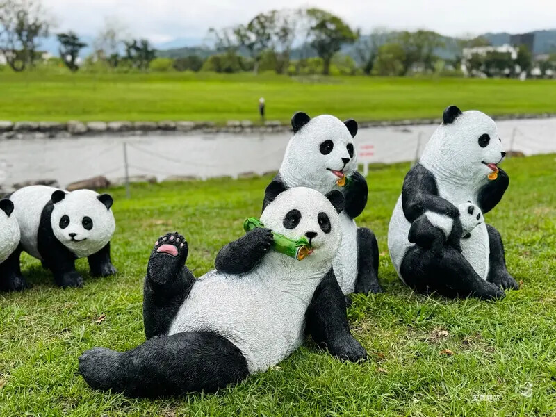 【安農溪驛站】超萌貓熊藝術裝置現身安農溪畔,快來拍照打卡遛小 【安農溪驛站】超萌貓熊藝術裝置現身安農溪畔,快來拍照打卡遛小