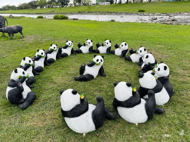 【安農溪驛站】超萌貓熊藝術裝置現身安農溪畔,快來拍照打卡遛小 【安農溪驛站】超萌貓熊藝術裝置現身安農溪畔,快來拍照打卡遛小