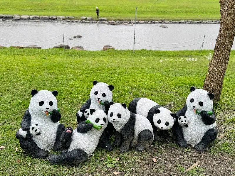 【安農溪驛站】超萌貓熊藝術裝置現身安農溪畔,快來拍照打卡遛小 【安農溪驛站】超萌貓熊藝術裝置現身安農溪畔,快來拍照打卡遛小