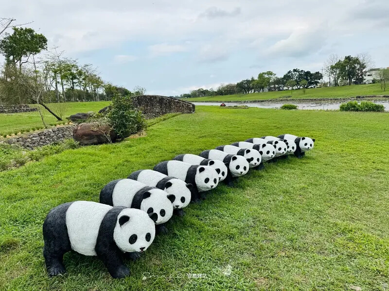 【安農溪驛站】超萌貓熊藝術裝置現身安農溪畔,快來拍照打卡遛小 【安農溪驛站】超萌貓熊藝術裝置現身安農溪畔,快來拍照打卡遛小