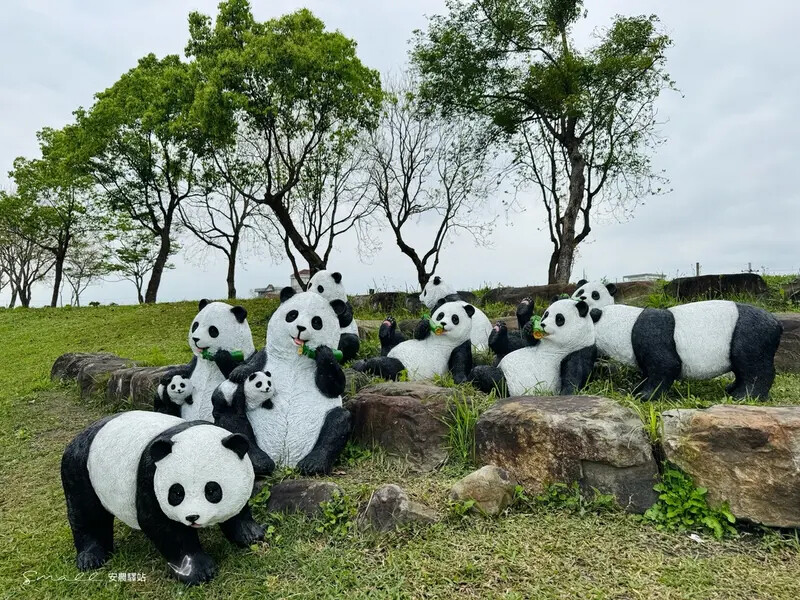 【安農溪驛站】超萌貓熊藝術裝置現身安農溪畔,快來拍照打卡遛小 【安農溪驛站】超萌貓熊藝術裝置現身安農溪畔,快來拍照打卡遛小