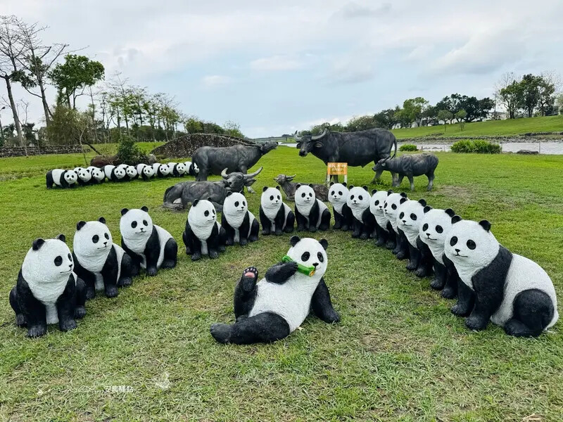 【安農溪驛站】超萌貓熊藝術裝置現身安農溪畔,快來拍照打卡遛小 【安農溪驛站】超萌貓熊藝術裝置現身安農溪畔,快來拍照打卡遛小
