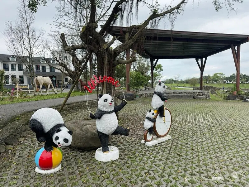 【安農溪驛站】超萌貓熊藝術裝置現身安農溪畔,快來拍照打卡遛小 【安農溪驛站】超萌貓熊藝術裝置現身安農溪畔,快來拍照打卡遛小