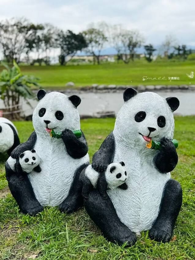 【安農溪驛站】超萌貓熊藝術裝置現身安農溪畔,快來拍照打卡遛小 【安農溪驛站】超萌貓熊藝術裝置現身安農溪畔,快來拍照打卡遛小