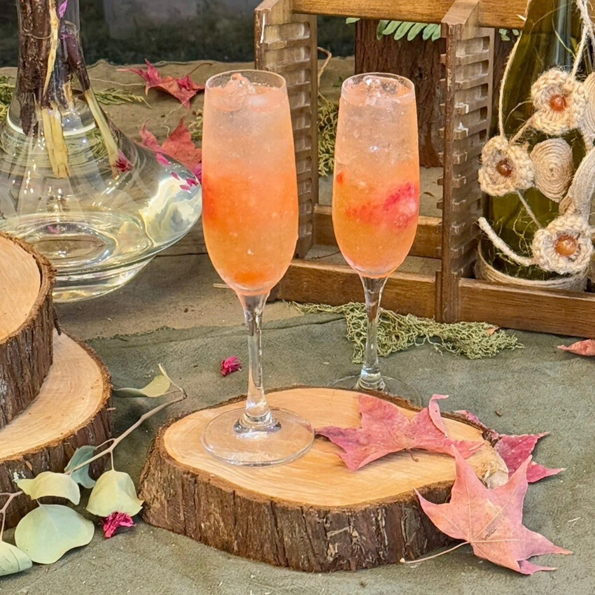 苗栗縣泰安鄉乍暖還寒,泡湯正當時:來趟溫泉療癒之旅