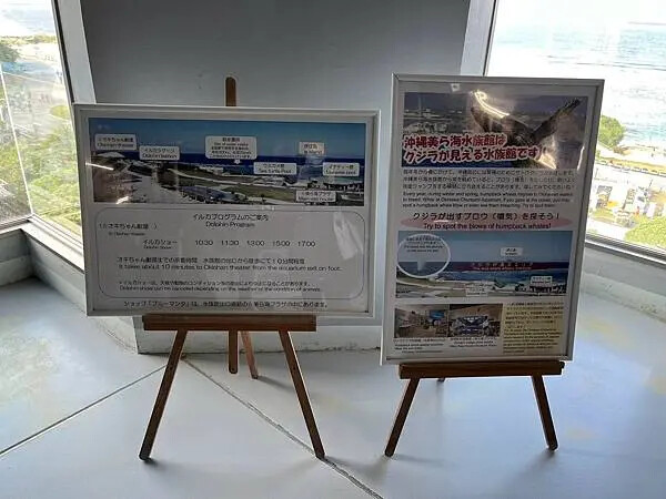 【日本沖繩親子景點推薦】沖繩美麗海水族館│沖縄美ら海水族館(