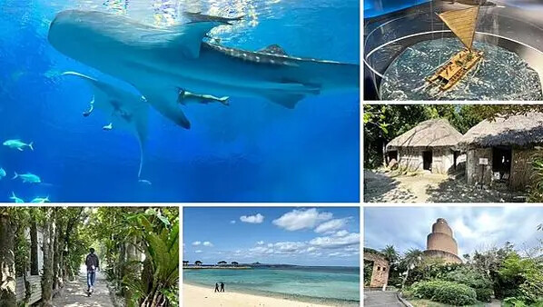 LINE_ALBUM_素材_250227_11