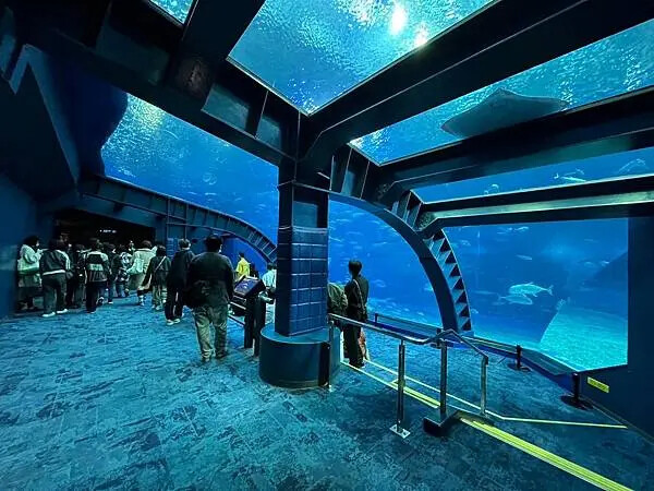 【日本沖繩親子景點推薦】沖繩美麗海水族館│沖縄美ら海水族館(