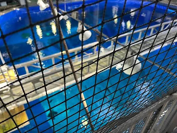 【日本沖繩親子景點推薦】沖繩美麗海水族館│沖縄美ら海水族館(