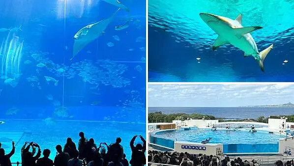 LINE_ALBUM_素材_250227_14