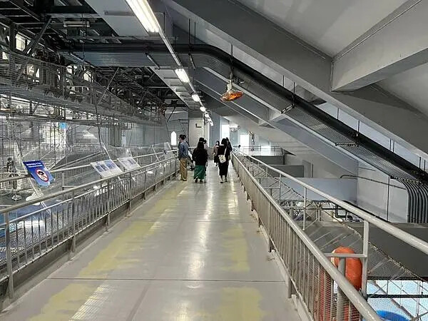 【日本沖繩親子景點推薦】沖繩美麗海水族館│沖縄美ら海水族館(