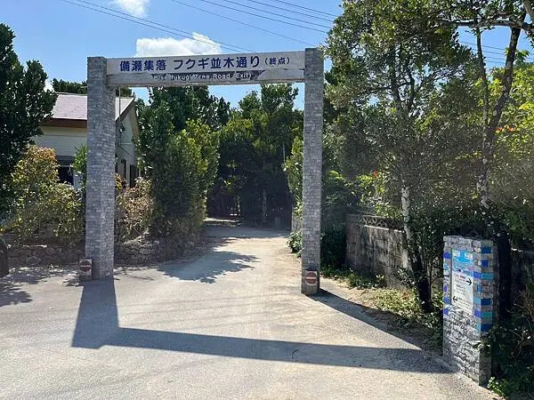 【日本沖繩北部景點推薦】備瀨福木林道│沖繩美麗海水族館附近景
