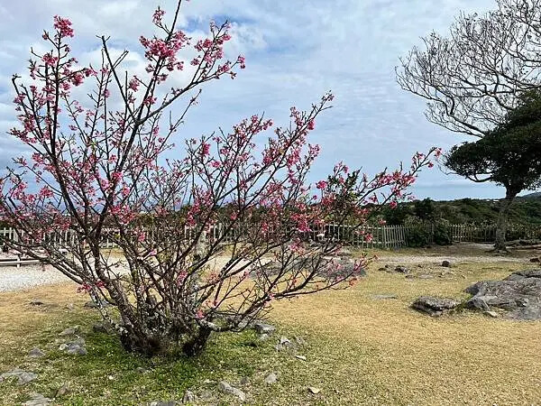【日本沖繩親子景點推薦】今歸仁城跡怎麼玩？交通、歷史、景點攻