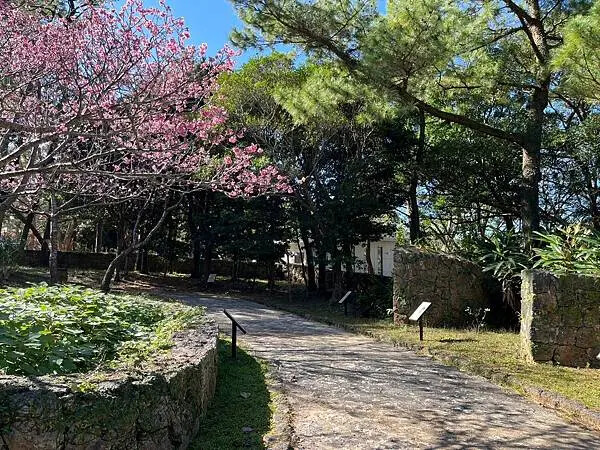 【日本沖繩親子旅遊推薦】海洋文化館│門票、交通、特色全攻略(