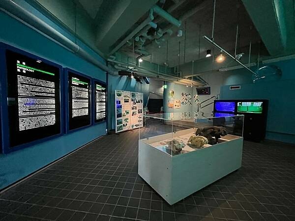 【日本沖繩親子景點推薦】沖繩美麗海水族館│沖縄美ら海水族館(