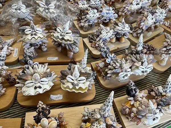 【日本沖繩北部景點推薦】備瀨福木林道│沖繩美麗海水族館附近景