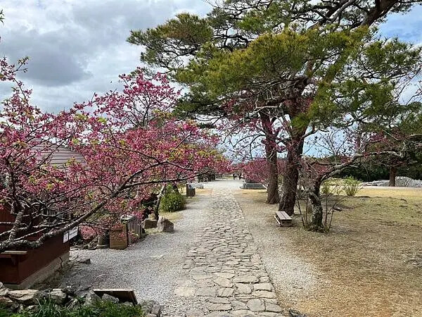 【日本沖繩親子景點推薦】今歸仁城跡怎麼玩？交通、歷史、景點攻