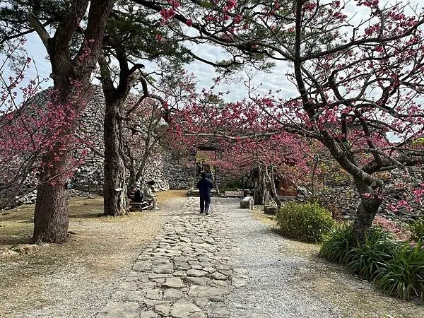 【日本沖繩親子景點推薦】今歸仁城跡怎麼玩？交通、歷史、景點攻