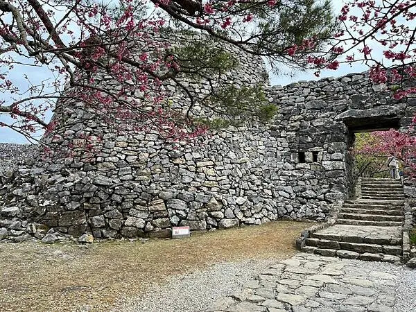 【日本沖繩親子景點推薦】今歸仁城跡怎麼玩？交通、歷史、景點攻