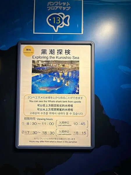 【日本沖繩親子景點推薦】沖繩美麗海水族館│沖縄美ら海水族館(