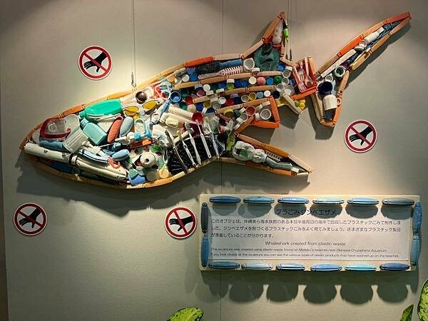 【日本沖繩親子景點推薦】沖繩美麗海水族館│沖縄美ら海水族館(