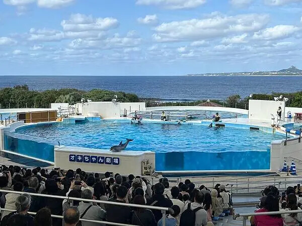 【日本沖繩親子景點推薦】沖繩美麗海水族館│沖縄美ら海水族館(