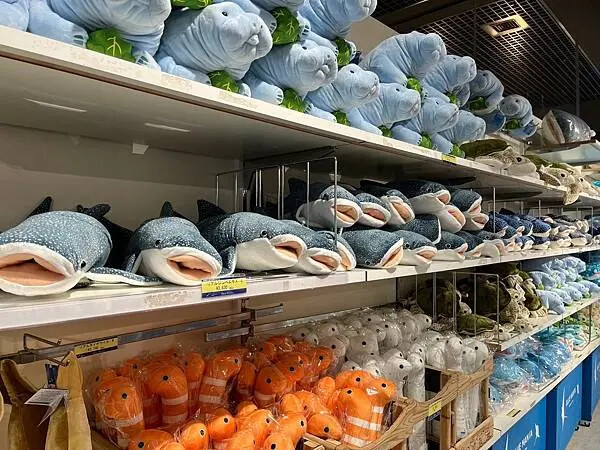 【日本沖繩親子景點推薦】沖繩美麗海水族館│沖縄美ら海水族館(