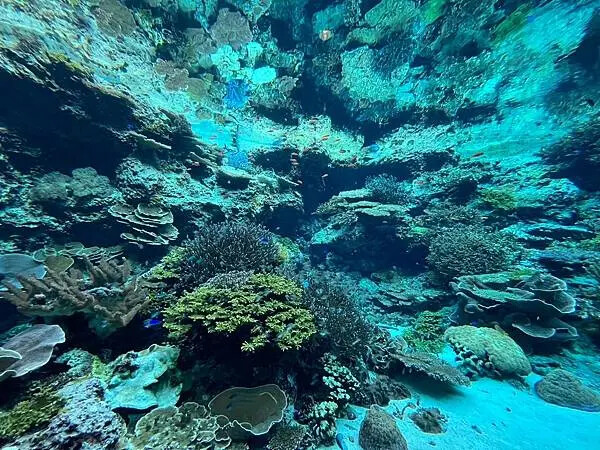 【日本沖繩親子景點推薦】沖繩美麗海水族館│沖縄美ら海水族館(