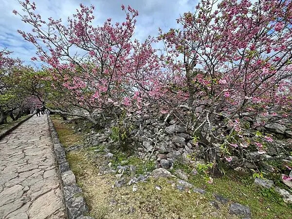 【日本沖繩親子景點推薦】今歸仁城跡怎麼玩？交通、歷史、景點攻