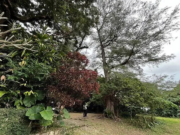 【日本沖繩必去景點、自由行、旅遊推薦】首里城全攻略│世界文化