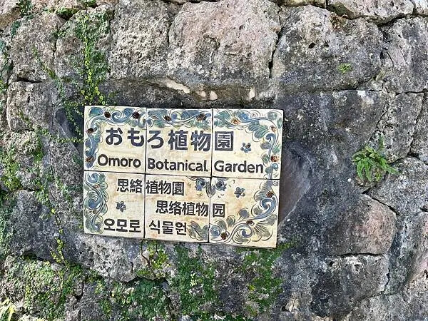 【日本沖繩親子旅遊推薦】海洋文化館│門票、交通、特色全攻略(