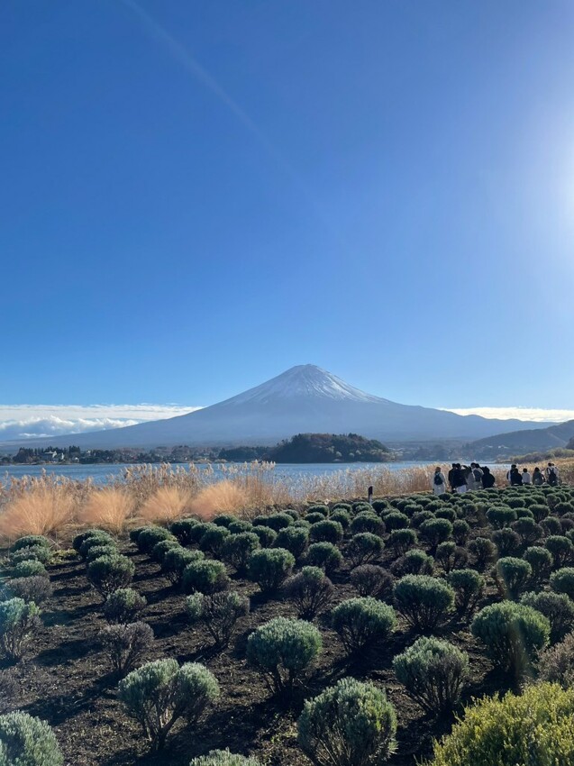 2023日本自由行DAY4|河口湖一日遊行程 富士山也太美了!大石公園 淺間神社 下吉田商店街 日川計時店 - 雁雁|美食 旅遊 生活娛樂
