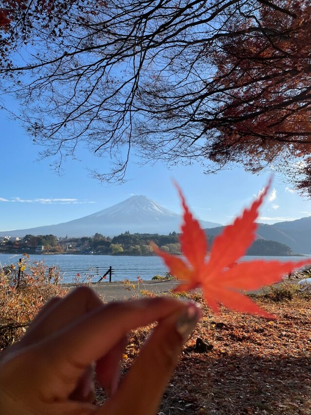 2023日本自由行DAY4|河口湖一日遊行程 富士山也太美了!大石公園 淺間神社 下吉田商店街 日川計時店 - 雁雁|美食 旅遊 生活娛樂