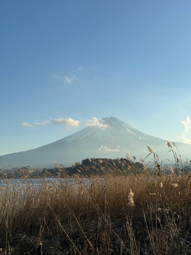 2023日本自由行DAY4|河口湖一日遊行程 富士山也太美了!大石公園 淺間神社 下吉田商店街 日川計時店 - 雁雁|美食 旅遊 生活娛樂