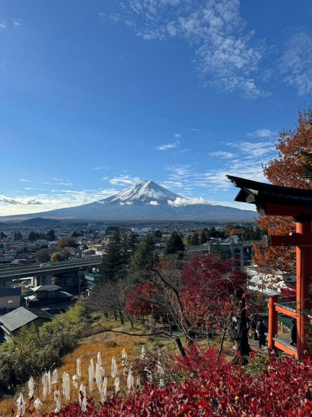 2023日本自由行DAY4|河口湖一日遊行程 富士山也太美了!大石公園 淺間神社 下吉田商店街 日川計時店 - 雁雁|美食 旅遊 生活娛樂