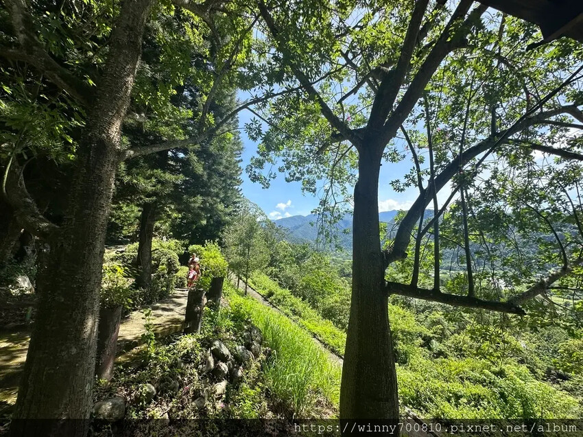 南投縣國姓鄉南投/國姓【泰雅渡假村】體驗2天1夜嗎嚕甦小小勇士的原住民部落文化體驗，寓教於樂內容非常豐富多元又有趣
