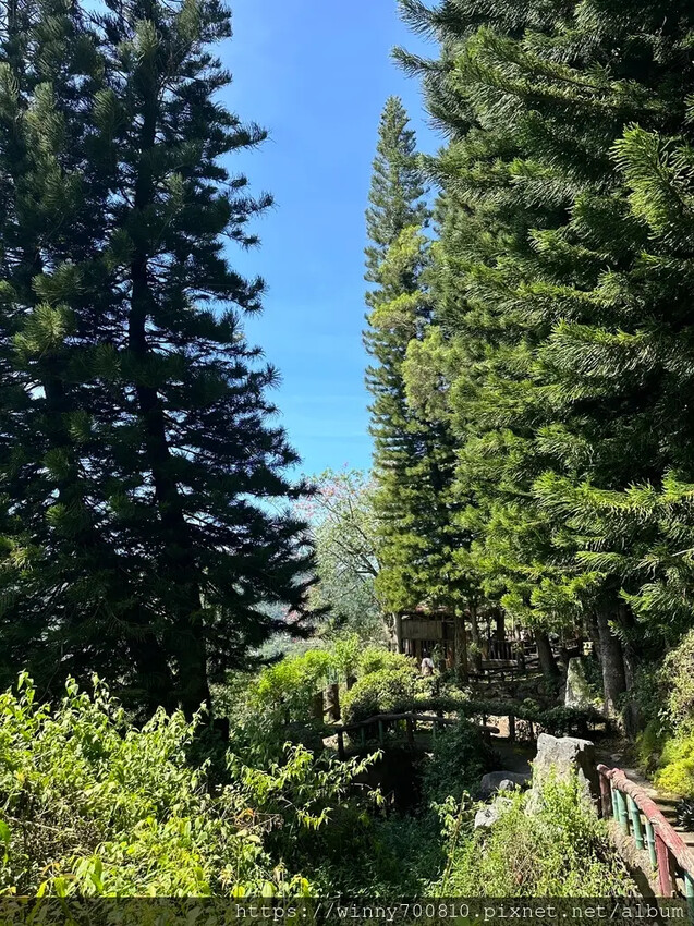 南投縣國姓鄉南投/國姓【泰雅渡假村】體驗2天1夜嗎嚕甦小小勇士的原住民部落文化體驗，寓教於樂內容非常豐富多元又有趣