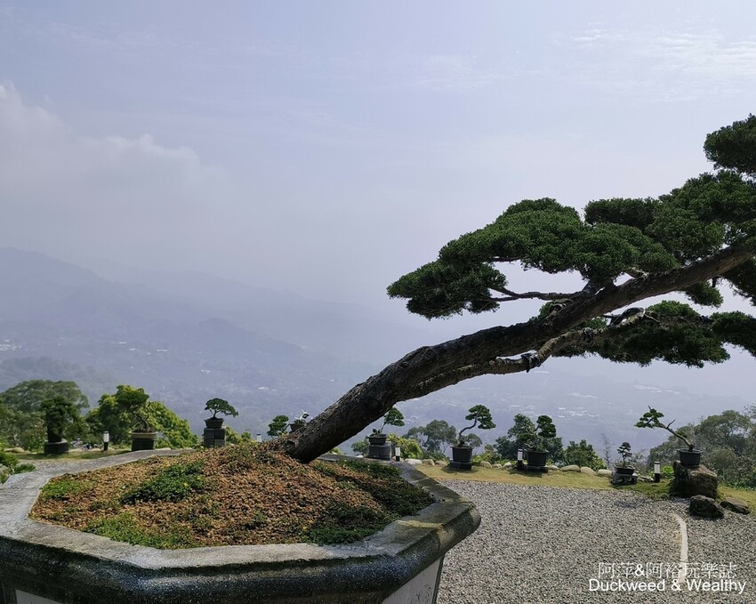台南市白河區【台南.白河】「關子嶺」一日漫遊攻略|旅遊、賞景點、泡溫泉、登天梯、吃美食-輕鬆遊|