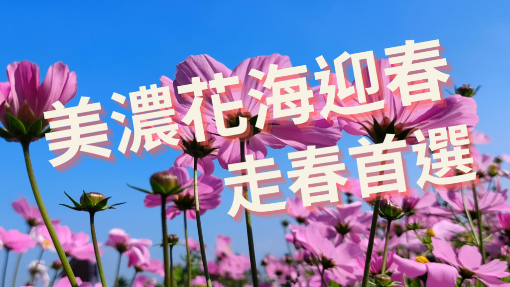 高雄市美濃區【高雄美濃景點】來高雄美濃賞花「蛇來蛇趣~來去美濃尞」∣裝置藝術彩繪大地艷麗花田等你來拍∣