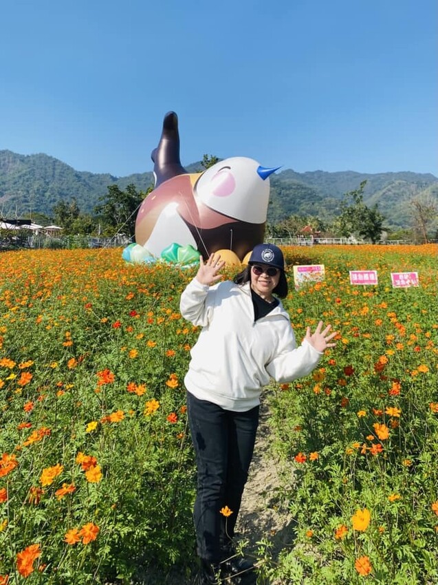 高雄市美濃區【高雄美濃景點】來高雄美濃賞花「蛇來蛇趣~來去美濃尞」∣裝置藝術彩繪大地艷麗花田等你來拍∣