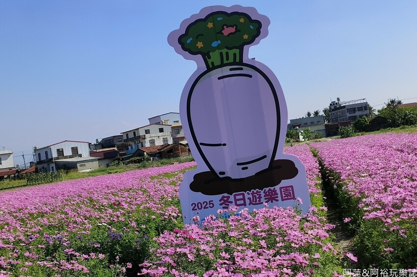 高雄市美濃區【高雄美濃景點】來高雄美濃賞花「蛇來蛇趣~來去美濃尞」∣裝置藝術彩繪大地艷麗花田等你來拍∣