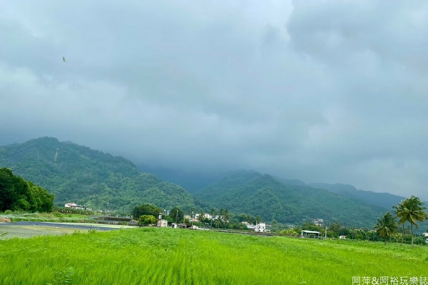 高雄市美濃區【高雄美濃景點】來高雄美濃賞花「蛇來蛇趣~來去美濃尞」∣裝置藝術彩繪大地艷麗花田等你來拍∣