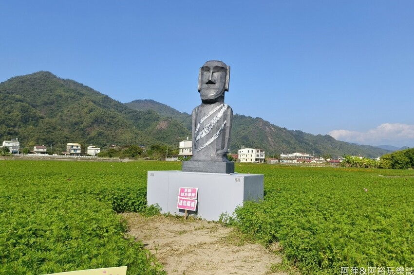 高雄市美濃區【高雄美濃景點】來高雄美濃賞花「蛇來蛇趣~來去美濃尞」∣裝置藝術彩繪大地艷麗花田等你來拍∣
