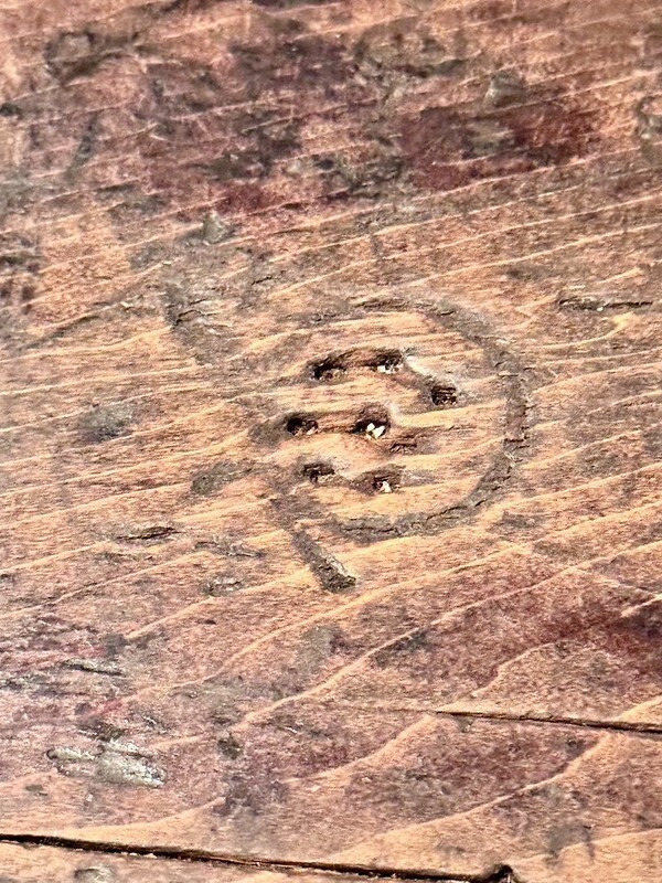 北海道札幌森彥咖啡廳必訪!30年老宅品味Tabelog認證好滋味。